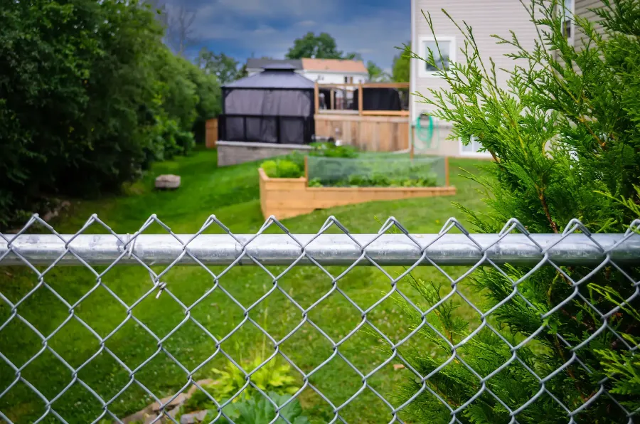 Galvanized chain link fence top rail and mesh in the foreground with a back yard behind it
